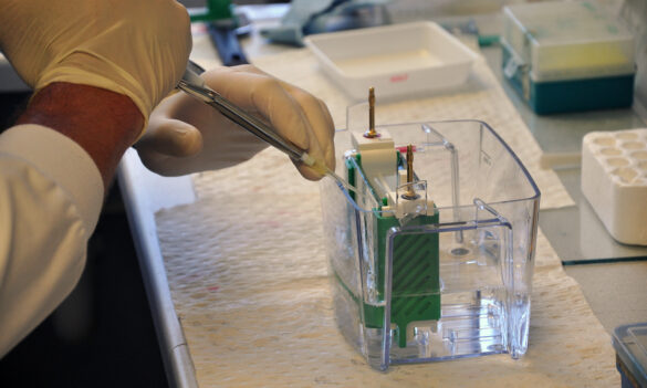 CPSU NSW meet with Cerebral Palsy Alliance to commence consultation on expiry of the Community Living Award