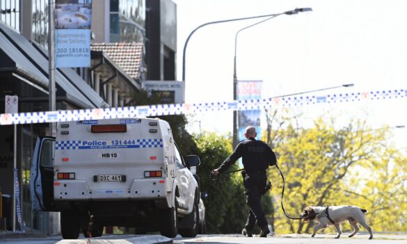 NSW Crime Commission: workplace contact vacancy and send us your feedback