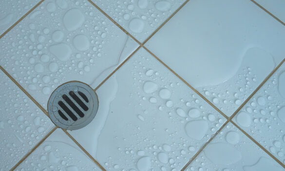 Update for Plumbing Inspectors in Home Building Services