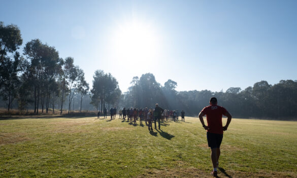 Results of Riverstone electorate survey