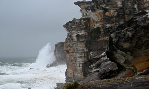 The National Parks Vocational Branch Annual General Meeting