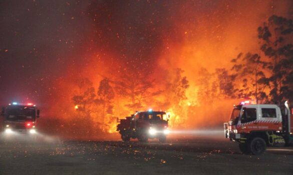 RFS restructure bulletin