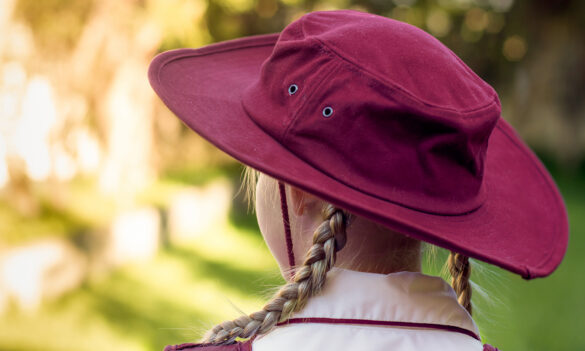 Celebrate PSA Schools Recognition Week 2024