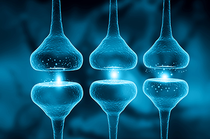 Mutual Sick Leave Fund Report