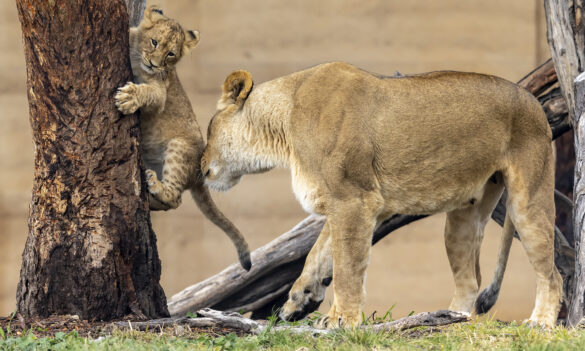 Know Your Rights At Work: Sick Leave