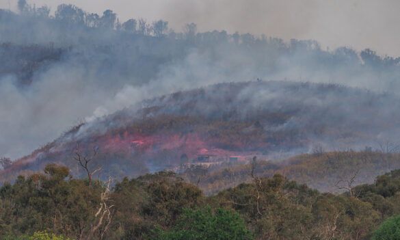 Rural Fire Service: The votes are in!