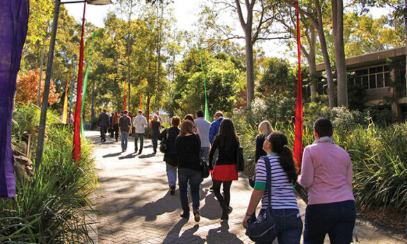 University of Newcastle bulletin – Combined Staff Consultative Committee (CSCC)