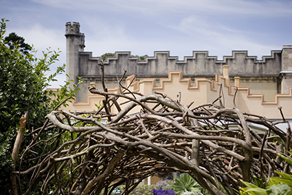 Sydney Living Museums and State Archives and Records Authority update