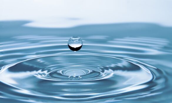 Reminder: CPSU NSW members’ UEA information session – Monday’s teleconference