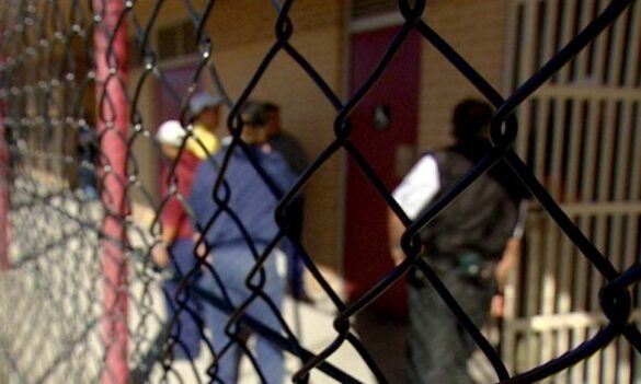 YJNSW December 2021 Bulletin