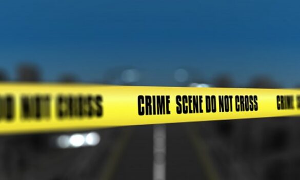 Victims Services Joint Consultative Committee update and PSA member survey