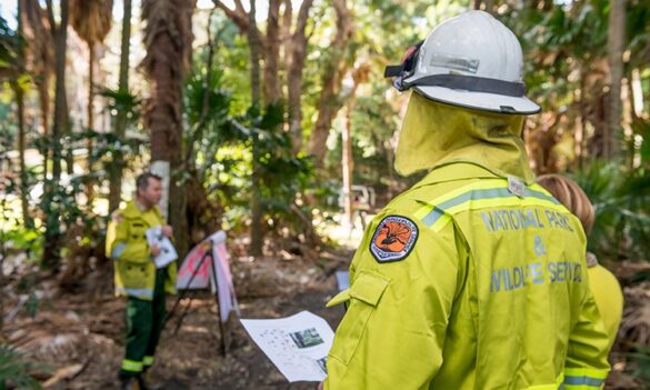 NPWS JCC Update: Koala Park, My WorkZone, WHS and more