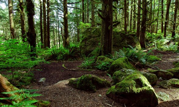 Office of Environment and Heritage – NPWS Restructure