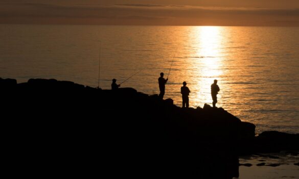 Fisheries: Bans remain in force