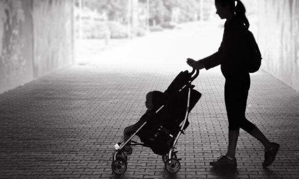 Trustee and Guardian workload survey