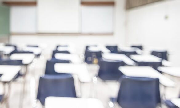 CSNSW CSI Education Review