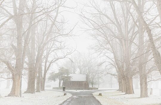 PSA meeting notice: Armidale area after-school meeting