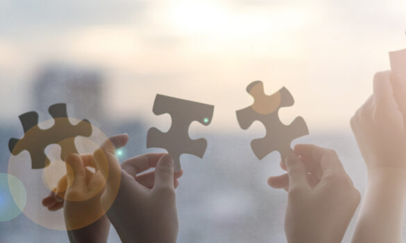 The Benevolent Society WHS survey