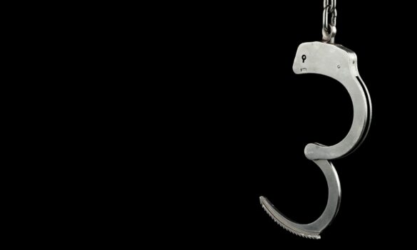 Non-Custodial Delegates Committee Joint Consultative Committee meeting update