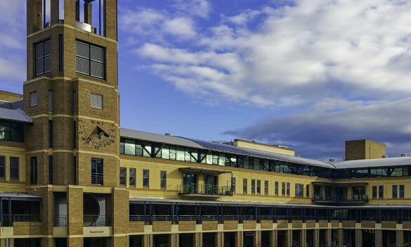 Petition calls for urgent action to protect university jobs