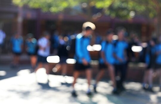 Report back from your Delegates: Special Education Working Group