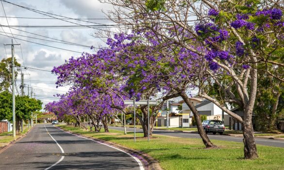 PSA Grafton Office – Transport/RMS Member Drop in