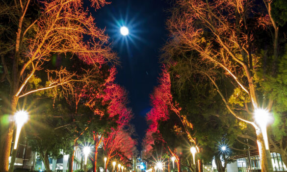 UNSW cool on NTEU/AHIEA National Framework Agreement