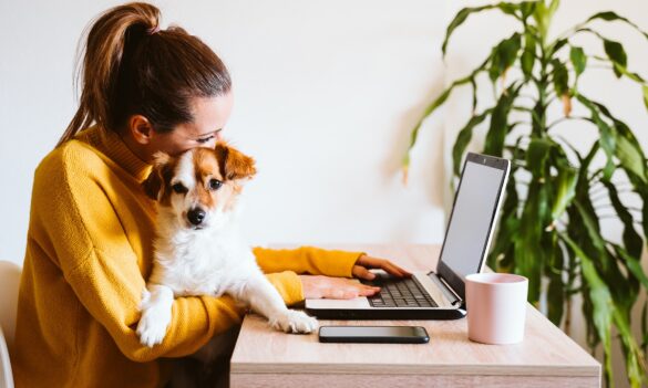 Premier and Cabinet Flexible Working Hours Agreement proposal
