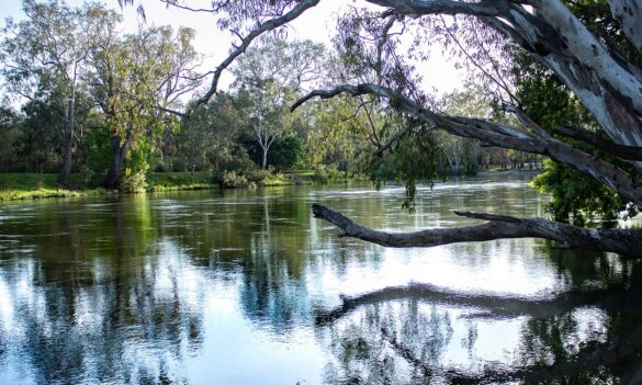 Fisheries Officers Vocational Branch update: Batons & handcuffs work bans