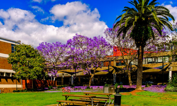 University of Sydney CPSU NSW – November Newsletter from your local branch