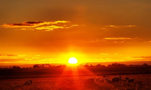 Keep safe in the heat