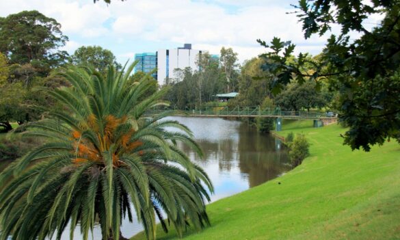 Department of Customer Service realignment –  August update