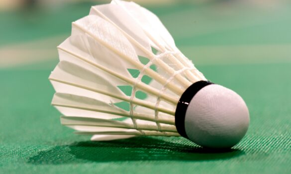 Consultation with the Office of Sport: PSA member update
