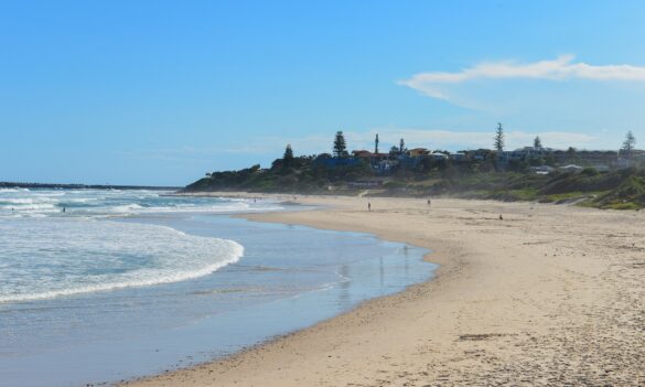 Union training? In Lismore? Yes please!