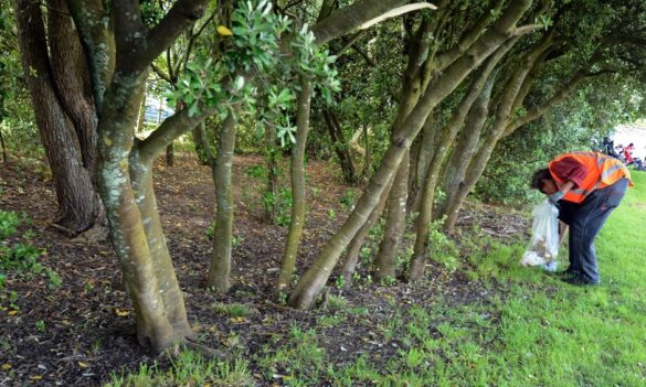 Environment Protection Authority protective clothing survey