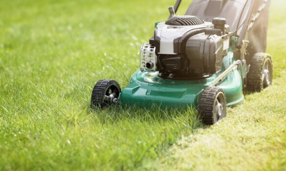 General Assistants: update from your Delegates