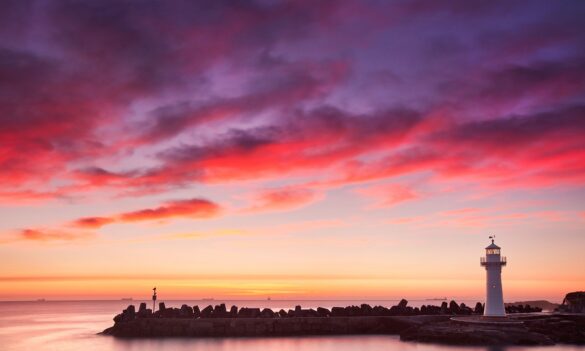 All members’ meeting: reminder and venue update