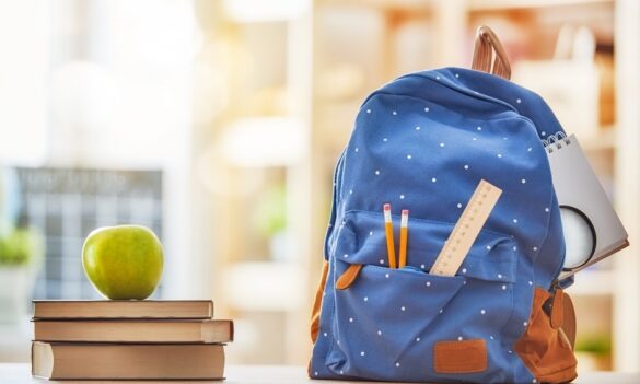 School Learning Support Officers (SLSO) bulletin