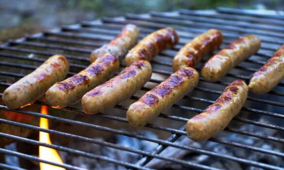 Gosford BBQ and delegate opportunity