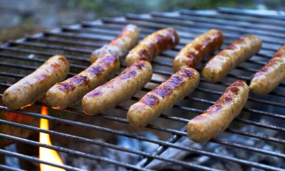 Taronga Zoo – PSA hosting staff BBQ lunch