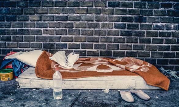 Trustee and Guardian workload survey – reminder