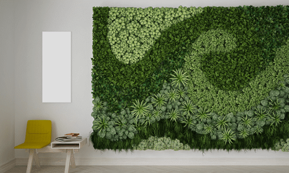 NSW government splurges a million dollars on plants – 2GB radio 10 June 2020