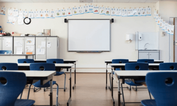 Bad Report for School Software – Daily Telegraph 05/07/2019