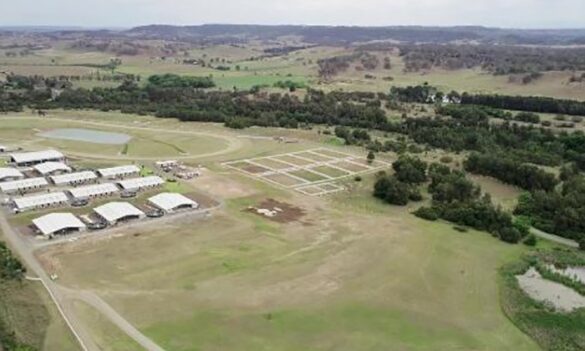 JCC update for LLS members