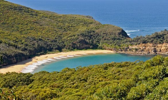 Update from the March National Parks and Wildlife Service Joint Consultative Committee meeting