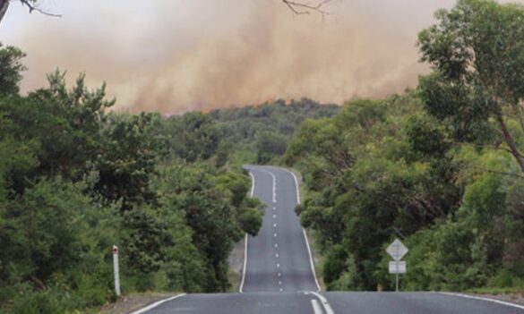 Fire and Rescue NSW survey