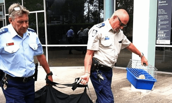 Bulletin – Sheriffs – April 2020