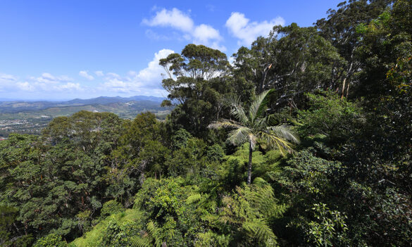 Forestry Corporation NSW commits to three per cent administrative pay rise from 1 July
