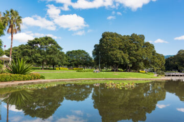 Strawberry Hills Office: come and meet the PSA!