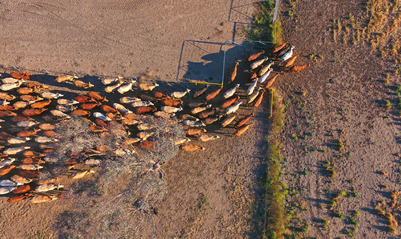 PSA Department of Primary Industries and Regional Development Departmental Committee election results